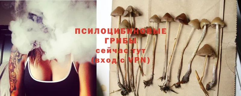 Галлюциногенные грибы Magic Shrooms  Баймак 